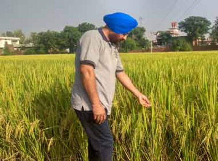 Stubble burning: Neither subsidy nor penalty can stop debt-ridden farmers of Punjab from  torching straw