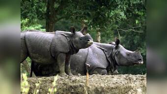 Two suspected rhino poachers killed at Morigaon district in Assam following encounter with police