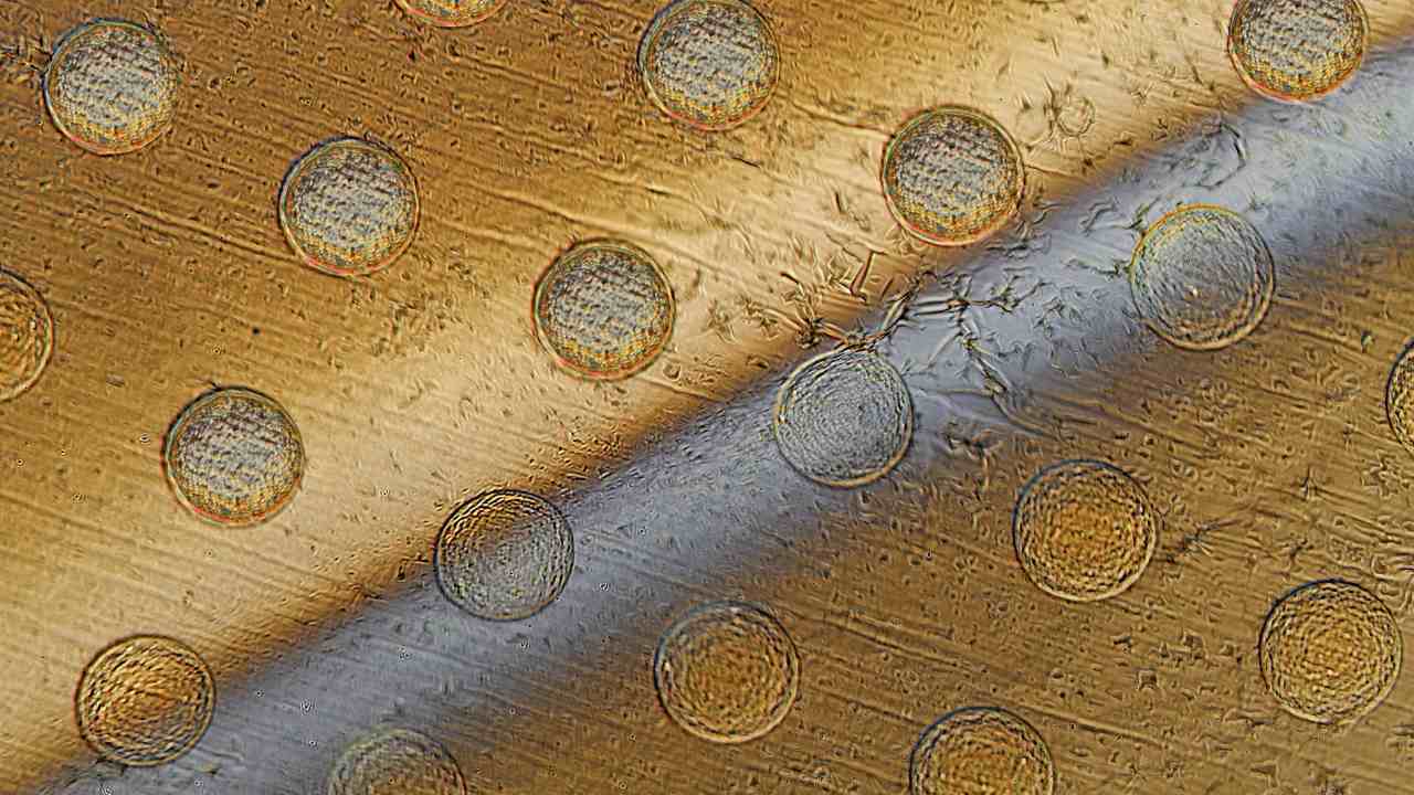 Tiny cell-sized robots can now be produced in thousands using this new technique
