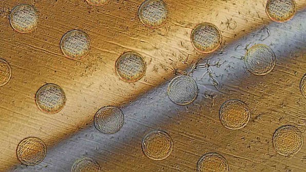 Tiny cell-sized robots can now be produced in thousands using this new technique