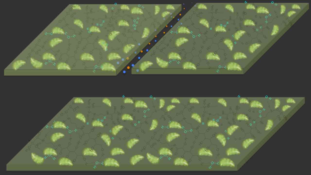 Self-growing polymer captures carbon dioxide and strengthens, repairs itself Self-growing polymer captures carbon dioxide and strengthens, repairs itself