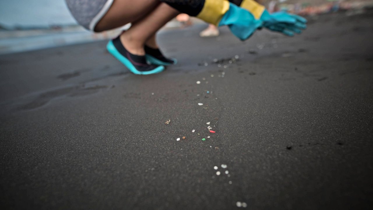 Scientists claim to have found microplastics in people's poop from pilot study Scientists claim to have found microplastics in people's poop from pilot study