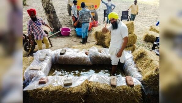 As north India reels under pollution, composting initiatives at Punjab's Sri Muktsar Sahib present alternatives to crop burning