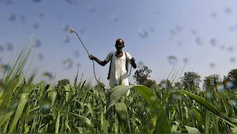 From locusts to fires: UN warns of growing threats to food systems, livelihoods in agriculture