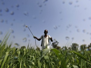 Farm woes to take centrestage in the new year as poll battle looms Farm woes to take centrestage in the new year as poll battle looms