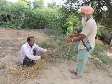 Stubble burning: How Haryana is better prepared to tackle its paddy residue in eco-friendly way than Punjab Stubble burning: How Haryana is better prepared to tackle its paddy residue in eco-friendly way than Punjab