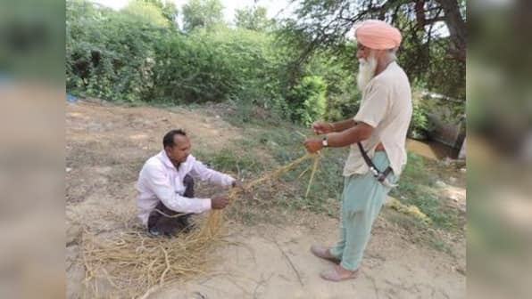 Stubble burning: How Haryana is better prepared to tackle its paddy residue in eco-friendly way than Punjab