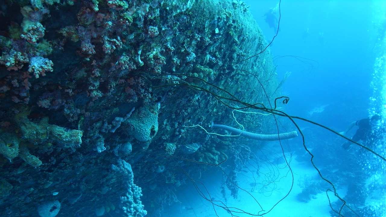 Oldest shipwreck in the world found intact under the Black Sea by archeologists