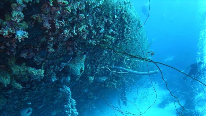 Oldest shipwreck in the world found intact under the Black Sea by archeologists