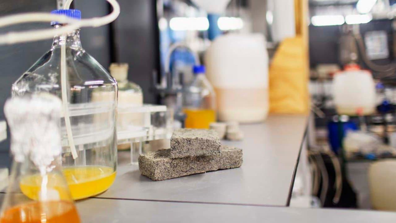 The world’s first bio-brick made from human urine was unveiled this week by civil engineering students. Image courtesy: University of Cape Town