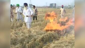 Stubble burning continuing in Amritsar despite Punjab govt's awareness measures, says district's deputy commissioner