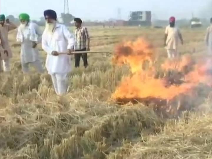 Stubble burning continuing in Amritsar despite Punjab govt's awareness measures, says district's deputy commissioner