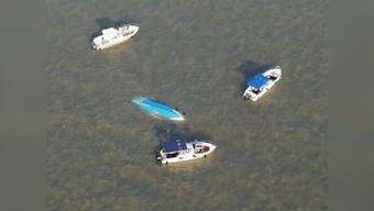 Mumbai boat capsize: From 'unqualified captain' to 'overloaded vessel', here are some theories behind the accident