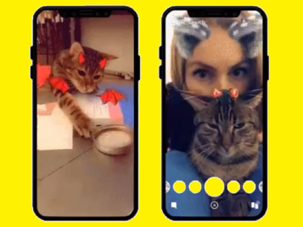 Snapchat adds face filters for cats, just another place the kitties will  now rule- Technology News, Firstpost