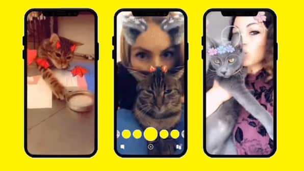 Snapchat adds face filters for cats, just another place the kitties will now rule