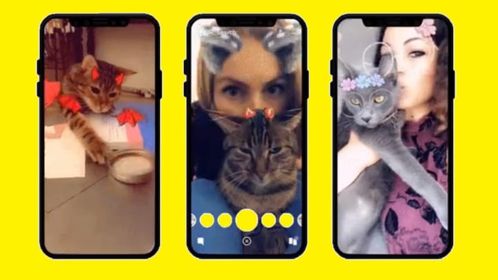 Snapchat adds face filters for cats, just another place the kitties will now rule