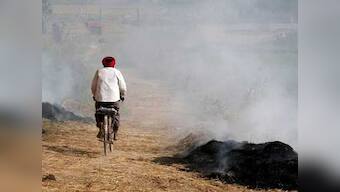 Stubble burning rises in northern states as authorities turn blind eye during polls; but politics a poor excuse for environmental crisis