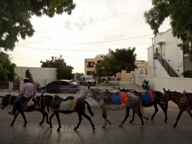 Worth the weight: Greece bans fat tourists from riding donkeys in Santorini weeks after protests Worth the weight: Greece bans fat tourists from riding donkeys in Santorini weeks after protests