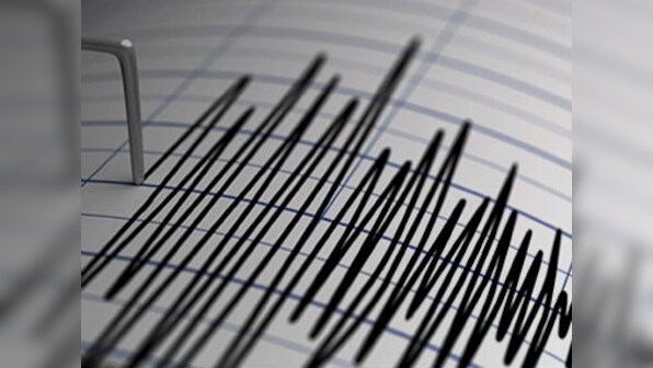 6.1 magnitude earthquake hits Indonesia's East Java province; no casualties, property damage reported