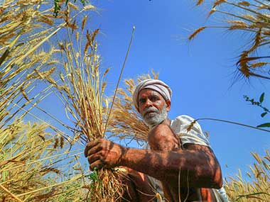 Farm sector doles: Band-aid solutions hide jobless growth; India's agrarian economy needs liberalisation, not govt handouts Farm sector doles: Band-aid solutions hide jobless growth; India's agrarian economy needs liberalisation, not govt handouts