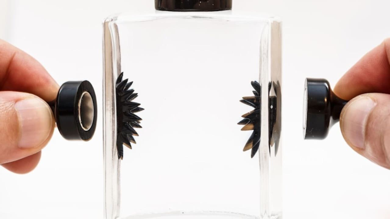 Magnetized ferrofluid doing its funky thing. Image: Instructables