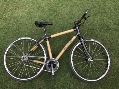 Bamboochi cycle price on sale