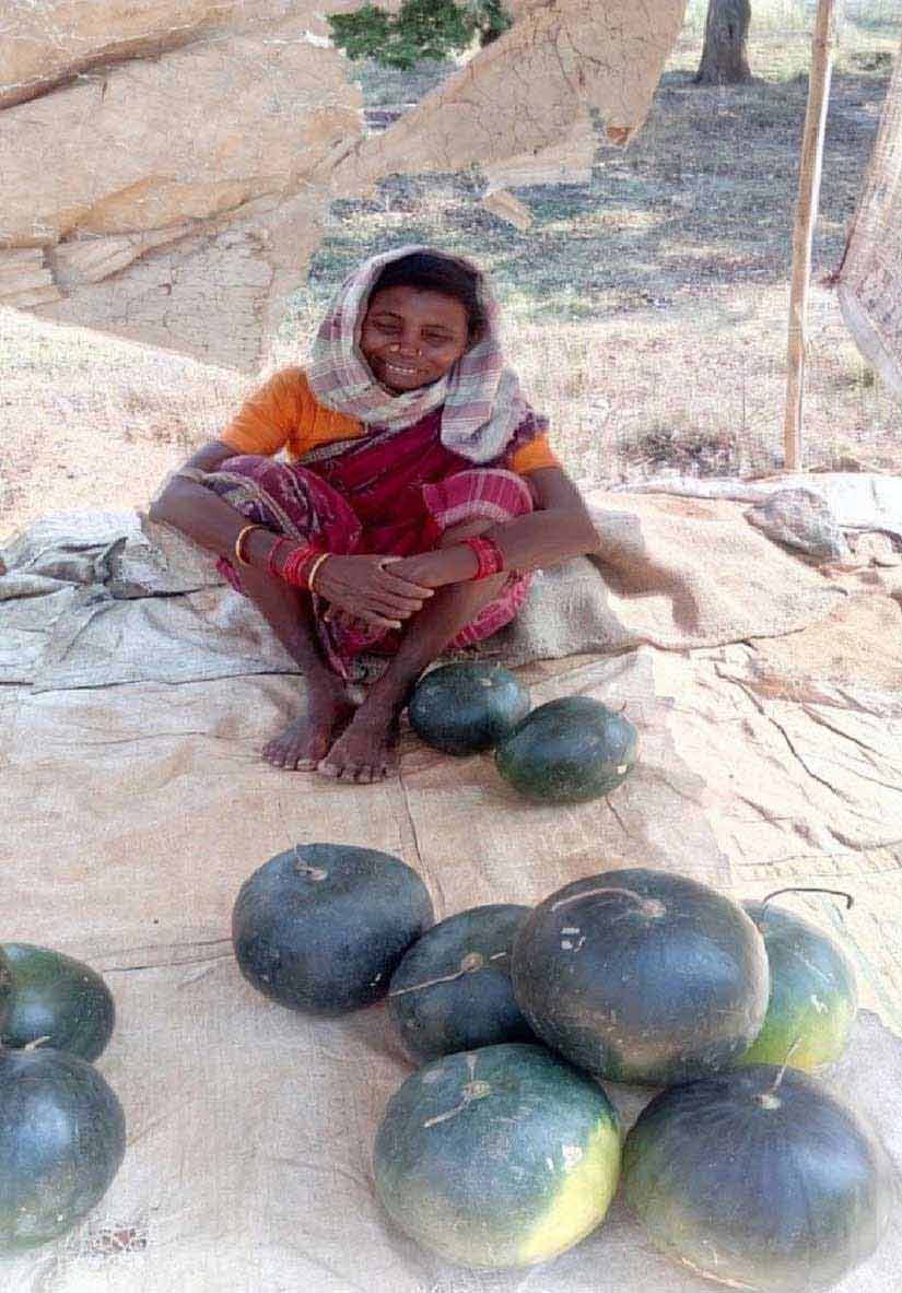 Ganga Suta sells watermelons on a road in Kalahandi, coming as a relief for travellers. Image courtesy: Sneha Rout