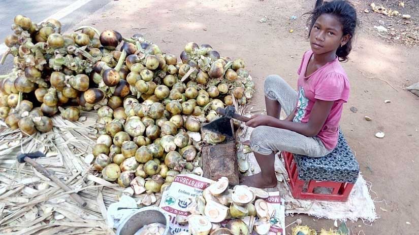 Twelve-year-old Sampurna Sahoo sells palm fruit, goes to school and also cooks for a family of seven. Image courtesy: Sneha Rout