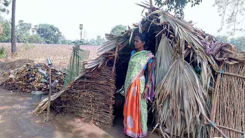 Manjula in her shed, where she offers water to thirsty passersby. Image courtesy: Sneha Rout