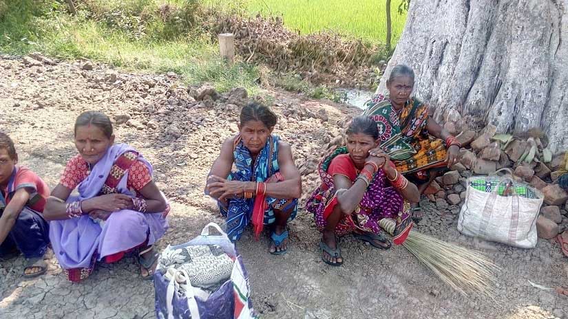 Women wait for a bus under a banyan tree after working in a paddy field. Image courtesy: Sneha Rout