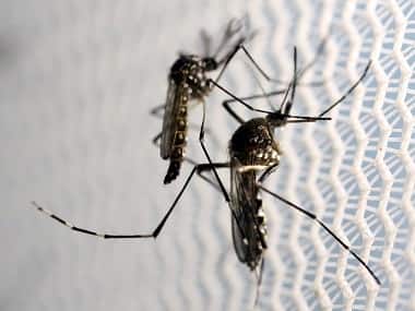 At least 2,406 cases of dengue reported in Delhi in present season; 260 people affected in past week
