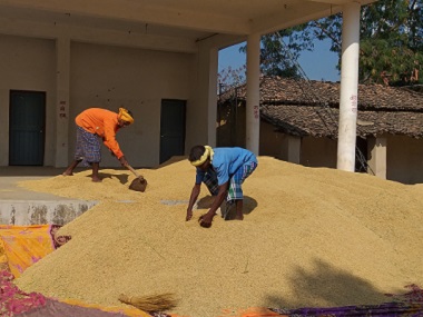 Chhattisgarh election 2018: Farmers in Kanker district agree BJP govt failed them, but say can't trust Congress entirely Chhattisgarh election 2018: Farmers in Kanker district agree BJP govt failed them, but say can't trust Congress entirely