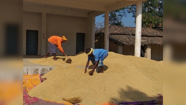 Chhattisgarh election 2018: Farmers in Kanker district agree BJP govt failed them, but say can't trust Congress entirely