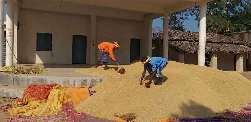 In Kanker's Kurna village, farmers follow the concept of ‘sahyak kisan’, or ‘dependent farmer’, to help those who are unable to afford irrigation systems. Image Courtesy: Firstpost/Natasha Trivedi