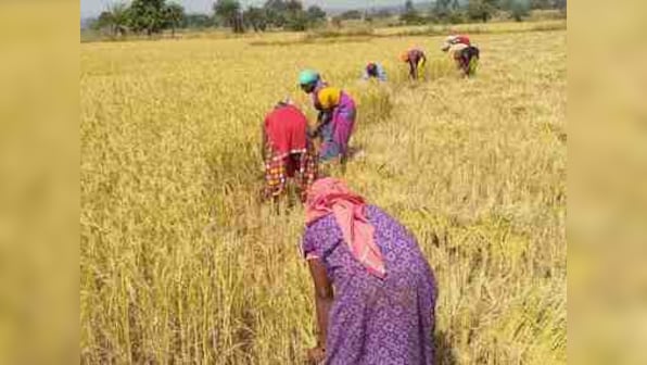 Madhya Pradesh, Chhattisgarh farm loan waivers: Politics of sops can kill an economy; fiscal indiscipline no pathway for poll wins
