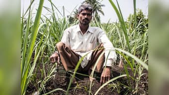 In Maharashtra's Ambap village, a couple with polio defied odds to set up a model farm