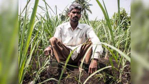 In Maharashtra's Ambap village, a couple with polio defied odds to set up a model farm