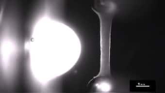 Researchers create artificial heart muscles in a lab that beat like the real thing