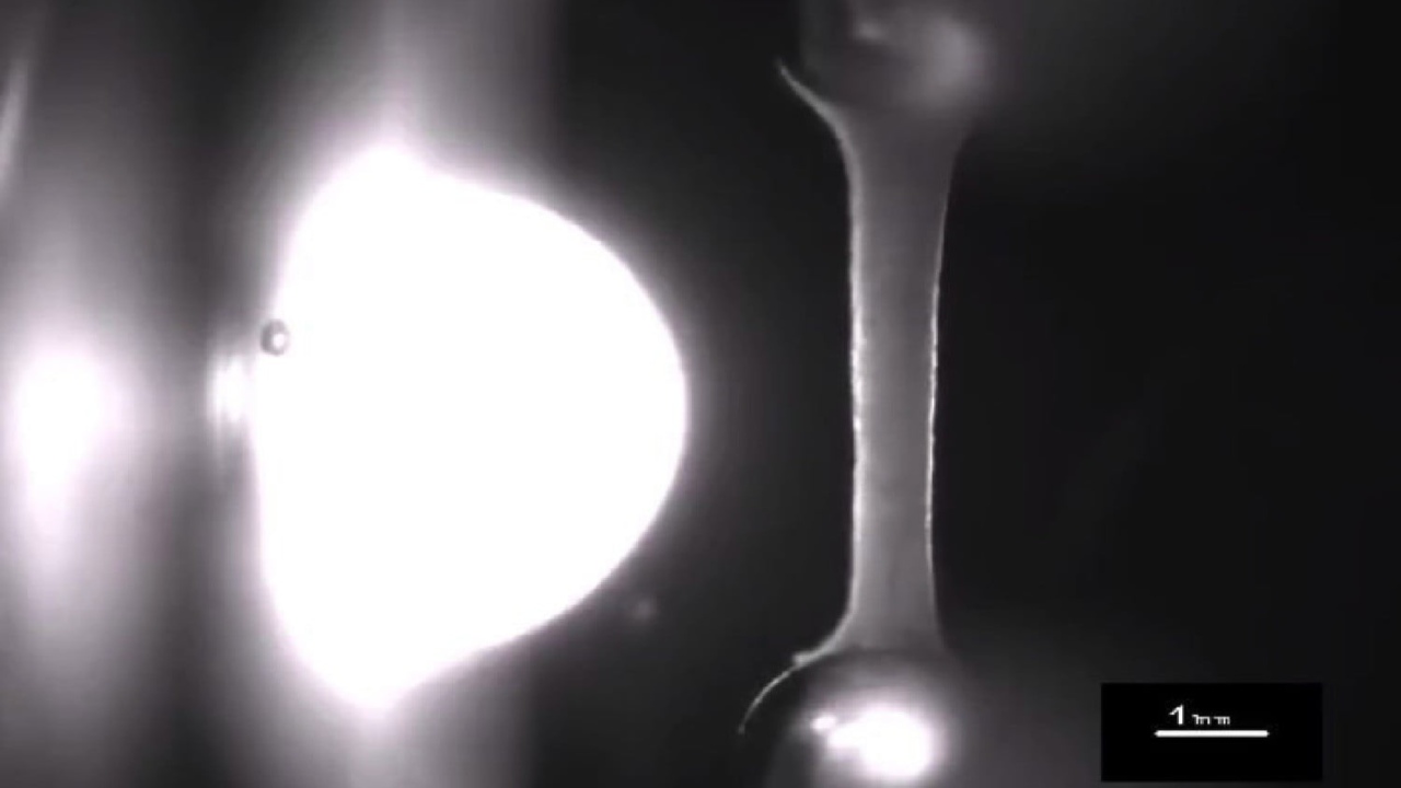 Researchers create artificial heart muscles in a lab that beat like the real thing Researchers create artificial heart muscles in a lab that beat like the real thing