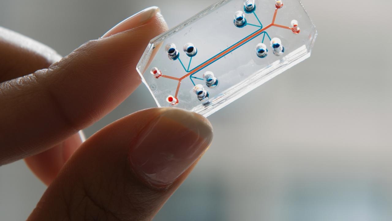 NASA plans to send living tissue, organs chips to ISS for microgravity ...