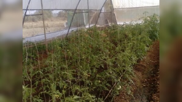 Horticulturist Dnyaneshwar Bodke shares his ideas on sustainable farming ahead of his TEDxGateway 2018 talk