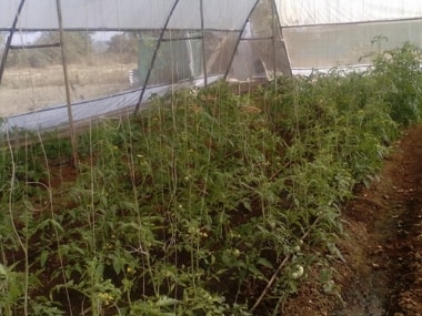 Horticulturist Dnyaneshwar Bodke shares his ideas on sustainable farming ahead of his TEDxGateway 2018 talk Horticulturist Dnyaneshwar Bodke shares his ideas on sustainable farming ahead of his TEDxGateway 2018 talk