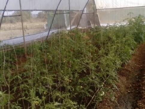 Horticulturist Dnyaneshwar Bodke shares his ideas on sustainable farming ahead of his TEDxGateway 2018 talk Horticulturist Dnyaneshwar Bodke shares his ideas on sustainable farming ahead of his TEDxGateway 2018 talk