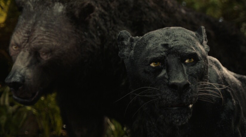 Baloo and Bagheera look look like they went through a Get Out-like insidious experiment with their bodies enslaved by celebrity voices.