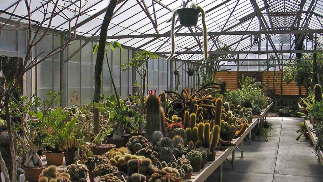 A desert garden conservatory. Image: Wikimedia Commons