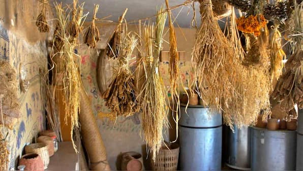 Assam students set up seed bank to help rice farmers preserve indigenous varieties
