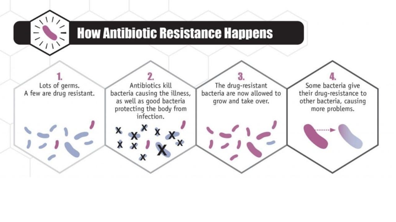 Antibiotic Resistance A Global Threat To Healthcare That Needs