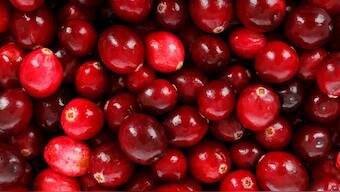 Natural sugar supplement found in berries slows down growth of cancer in mice