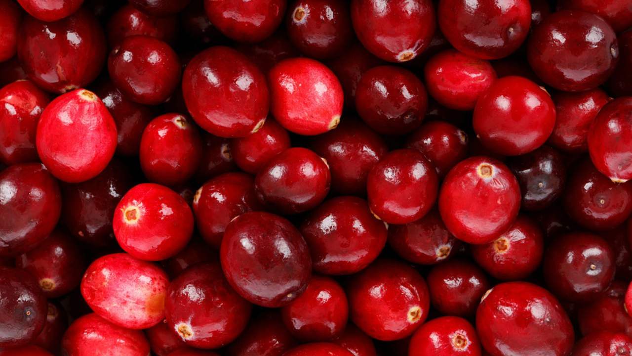 Natural sugar supplement found in berries slows down growth of cancer in mice Natural sugar supplement found in berries slows down growth of cancer in mice