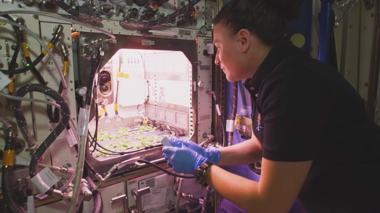 NASA astronaut Serena Auñón-Chancellor works on plant shoots for the Plant habitat at the space station during Expedition 56/57 (June 6 through December 19, 2018). Image courtesy: NASA